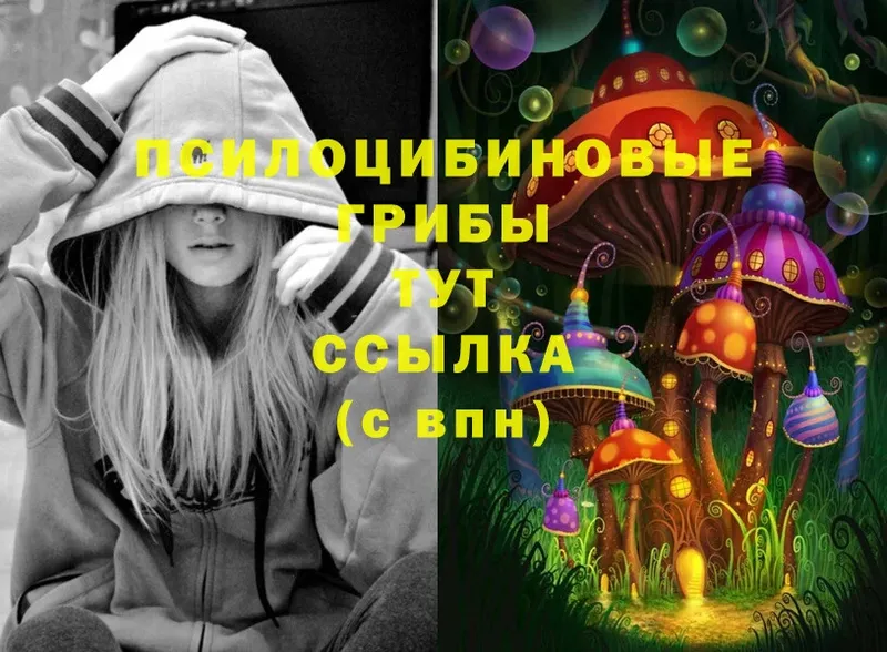 Псилоцибиновые грибы Psilocybe  Вольск 